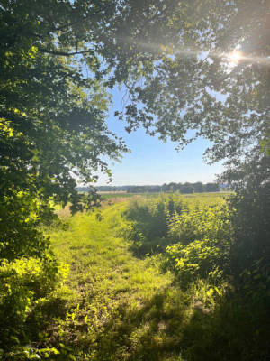 Idyllisches Camping am Tüschenwald (Campspace 21040)