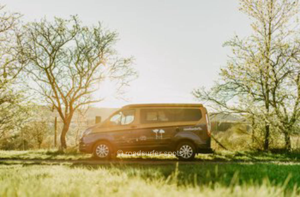 Vor den Toren zu den Alpakas