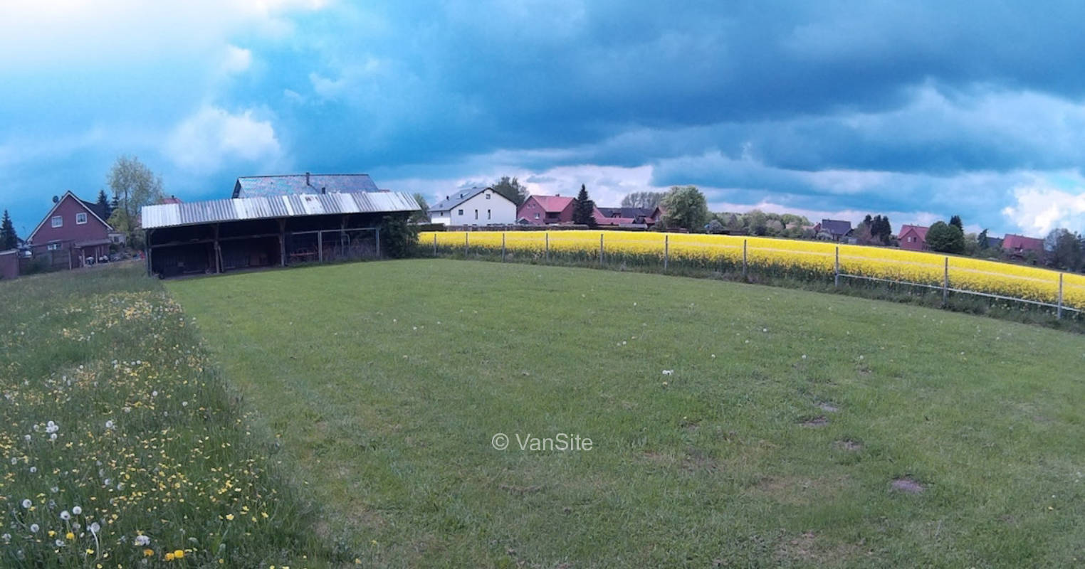 Meadow behind our house