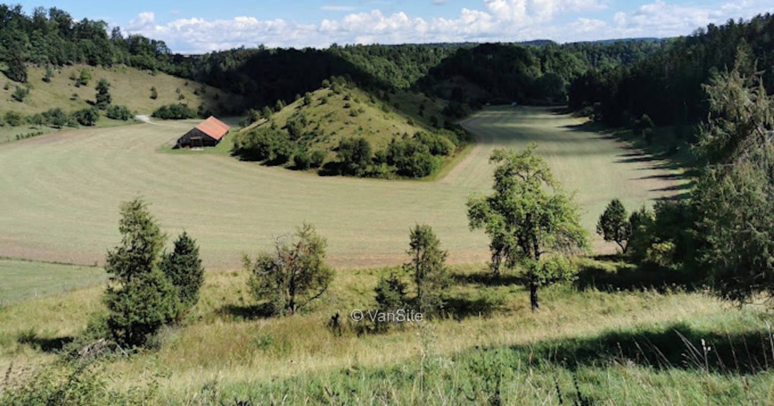 Hofgut Neckarburg - Idylle PUR - Wiesenstellplatz mit Strom