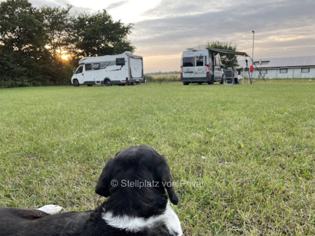 TohUsedom farm Nyvang