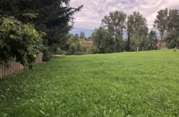 Quiet Pitch in Green Surroundings