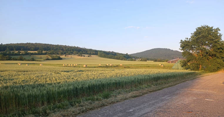 Steinsburgblick