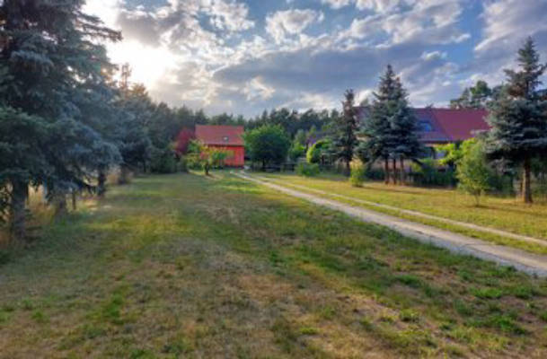 Im Herzen des Lausitzer Seenlands 
