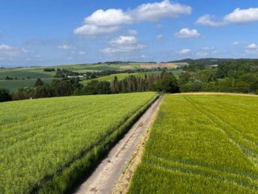 Himmlische Ruhe und Natur pur (auch für Reiter) 