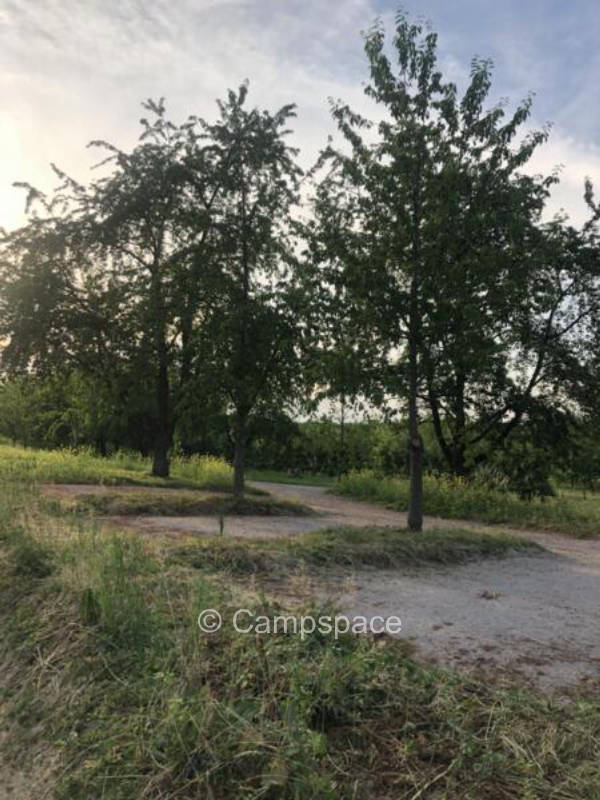 Camping unter Obstbäumen