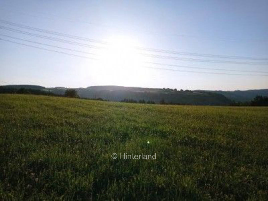 Fernsicht am Waldrand