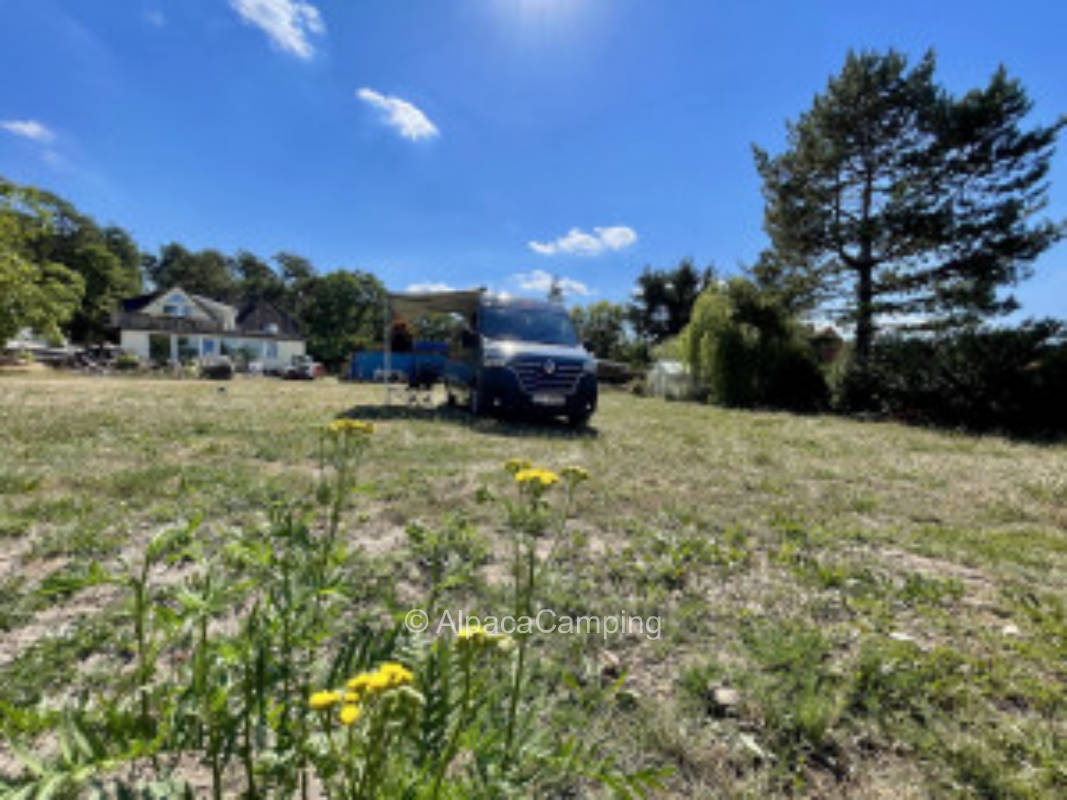 In ruhiger Lage direkt am Wald #2