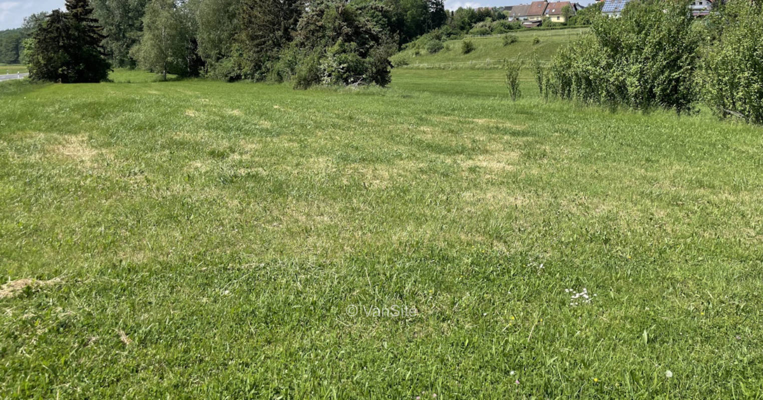 Meadow by the millstream