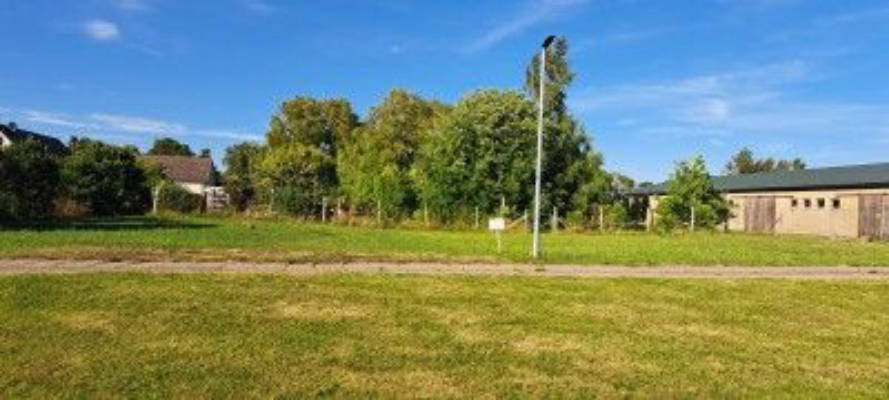 Meadow pitch near the Peene Valley
