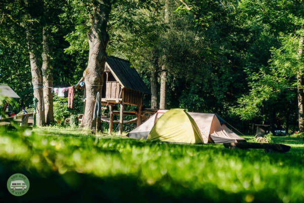 Wiese (Campspace 28313)