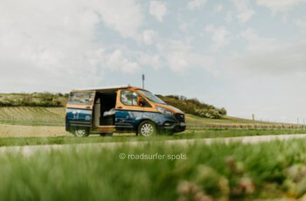 Winery in the vineyards