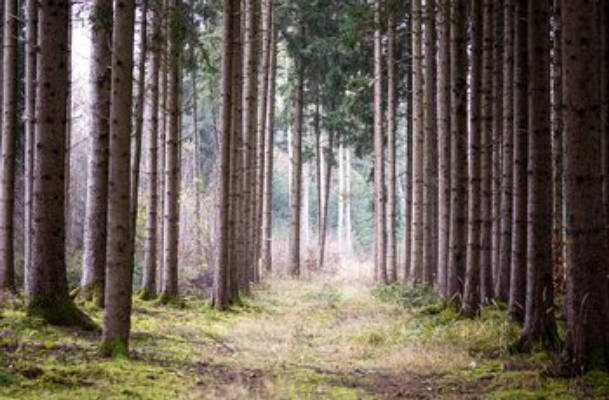 Campingplatz im Naturschutzgebiet