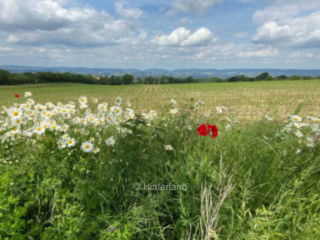 Paradies auf BaLoWe