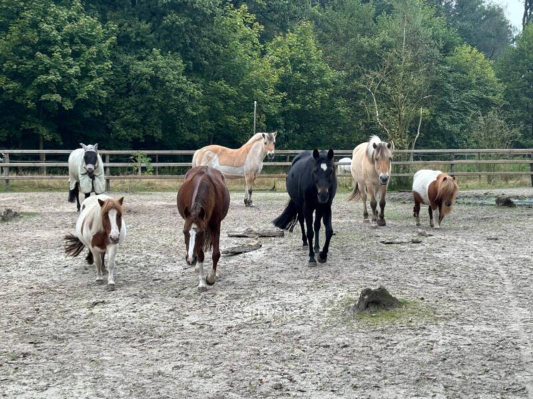 Campspace in Edewecht, Niedersachsen