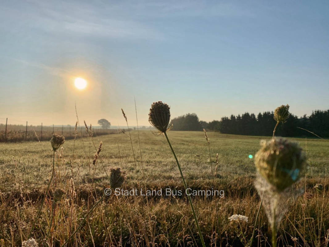 Müllers Obstbaumwiese