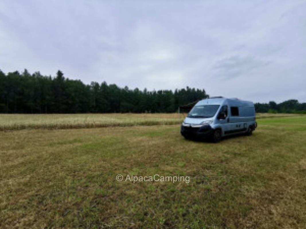 Stellplatz auf ruhig gelegener Wiese direkt am Waldrand #2