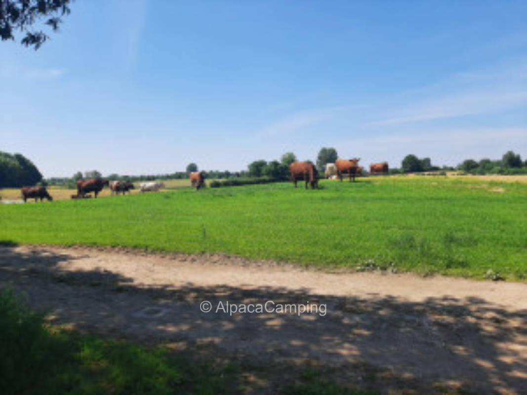 Weitblick #2