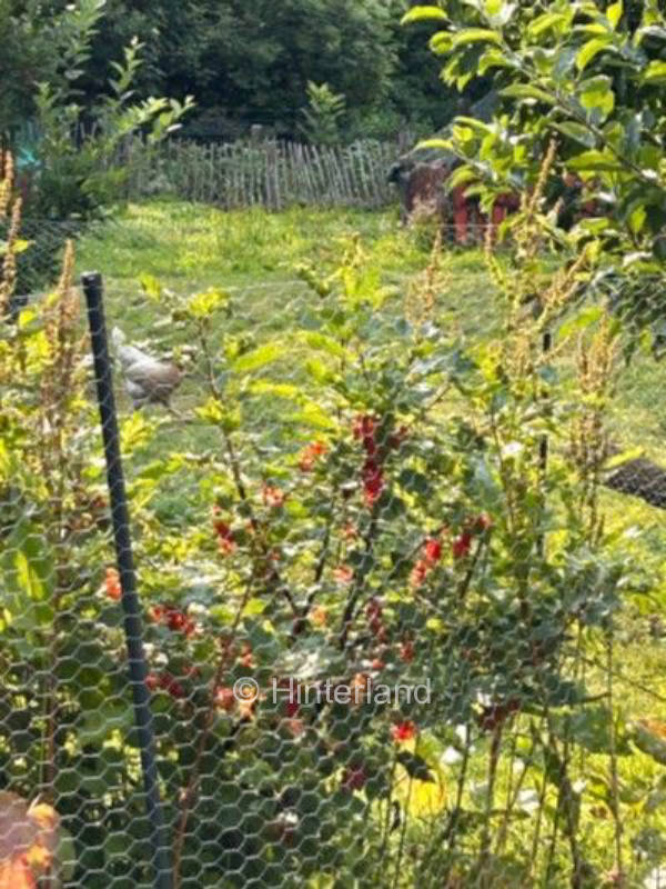 Private Zeltplätze in der Lüneburger Heide 