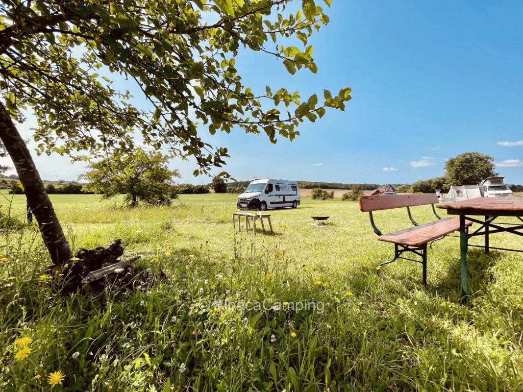 Heavenly dreams with wine panorama #1