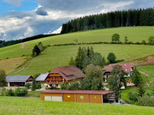 Schweizermichelhof