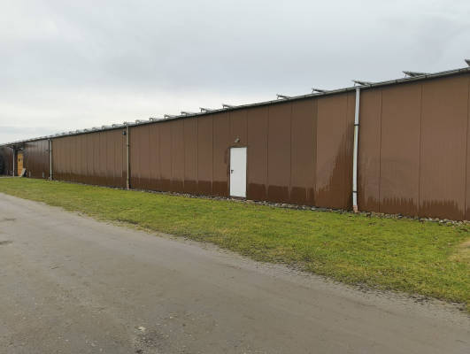 Grunstreifen abgelegen im dorf