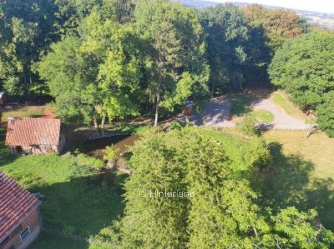 Natur pur bei den Sonnenpferden am Waldrand