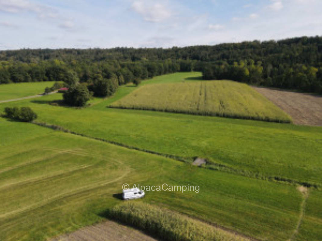 Direkt am Bach: Erholsame Zeit am Fuße des Pfannenberges in der grünen Au am Degenbach #3