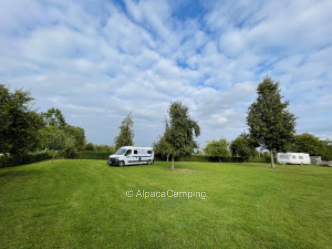 Under fruit trees at the Altmühl/at the Altmühlsee #2