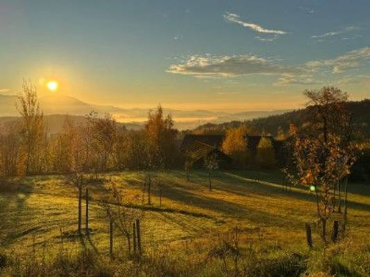  Obstbäume und Aussicht im Lallinger Winkel