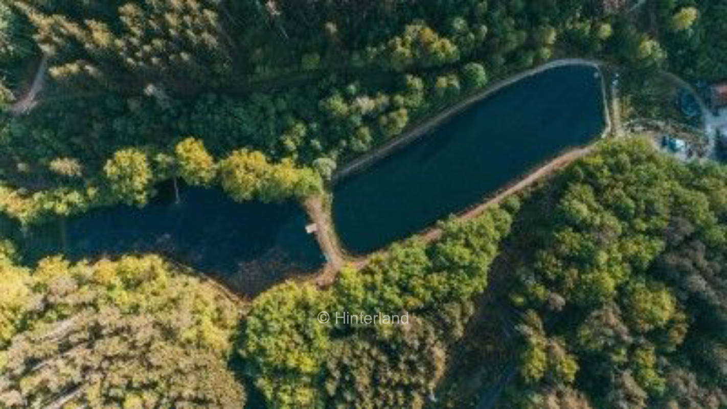 Direkt am See im Pfälzerwald. *Hot Tub*