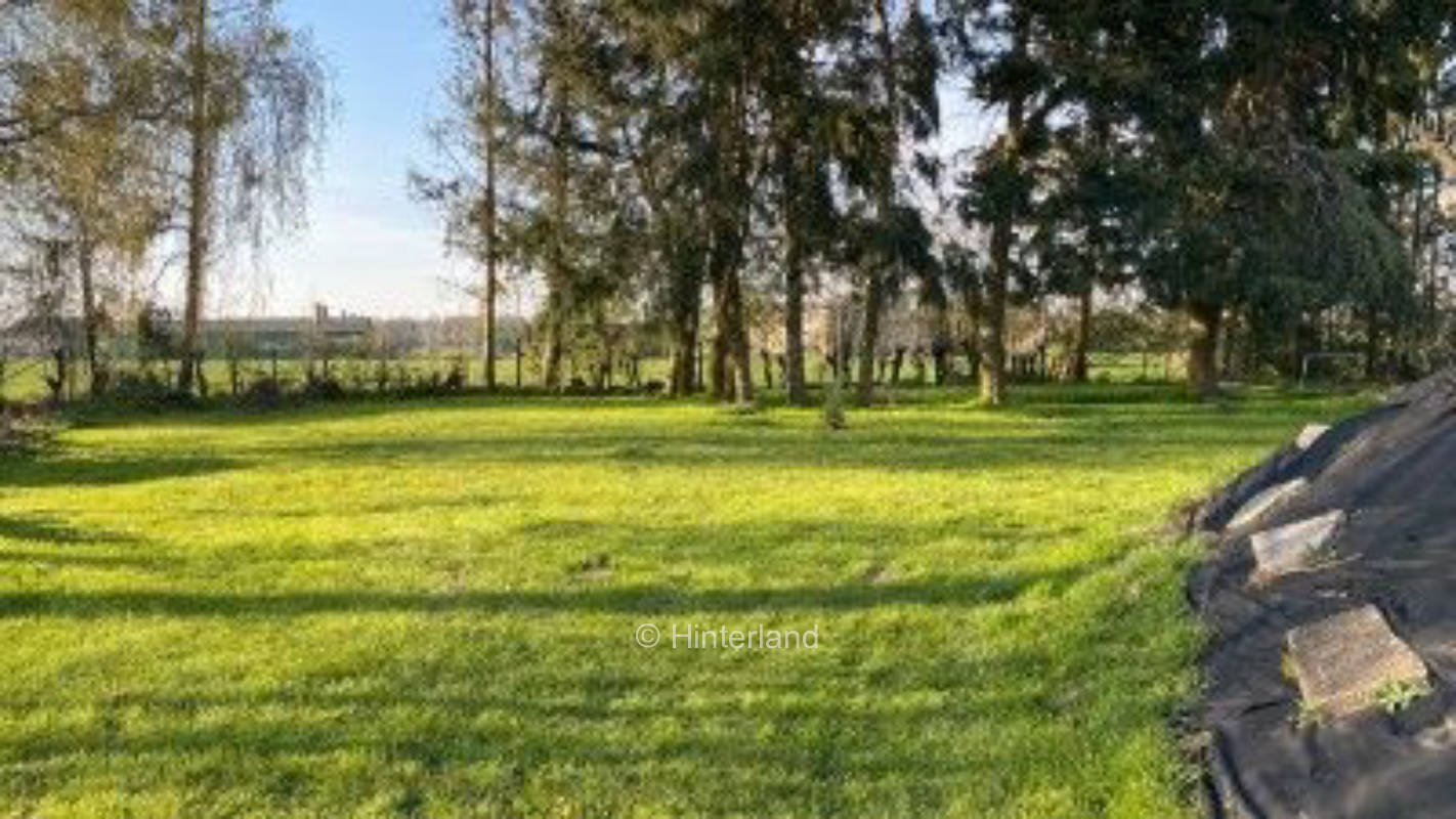 entspannt in der Wiese dem Alltag entfliehen