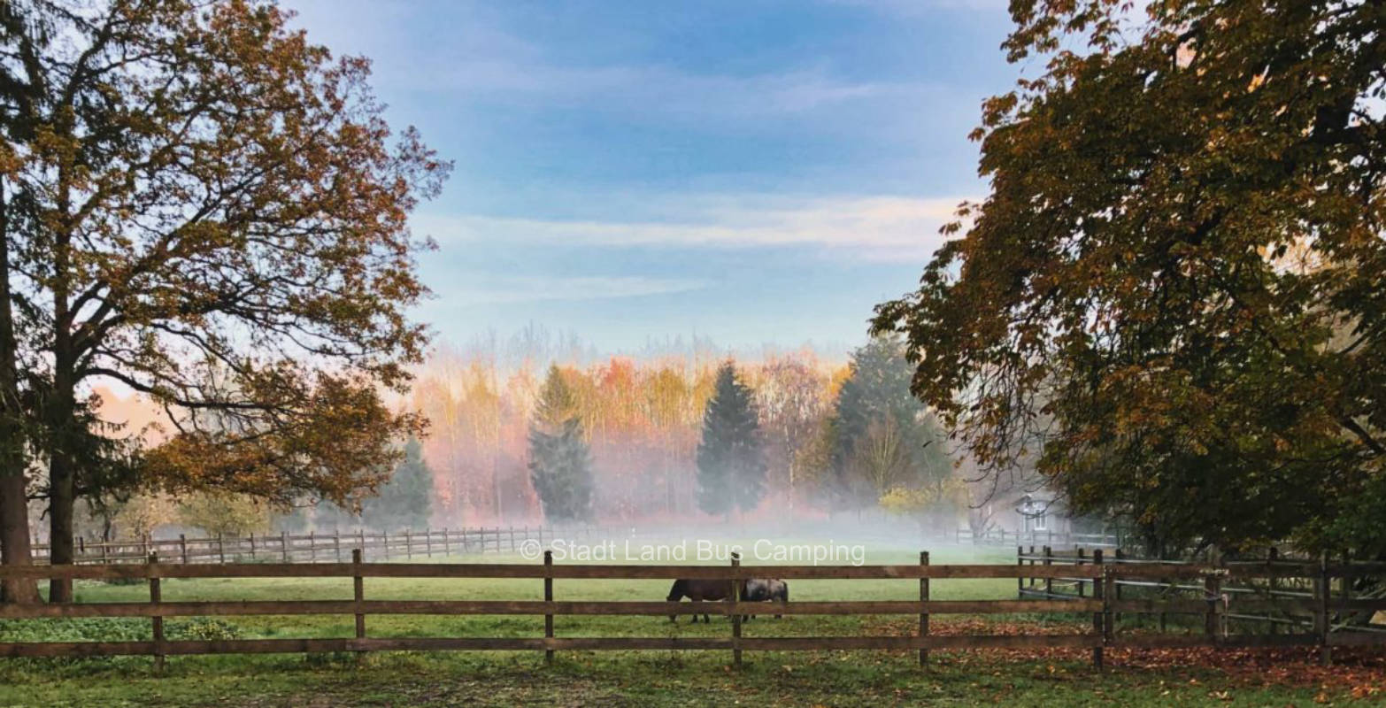 Wüsthof Dammerstorf 3