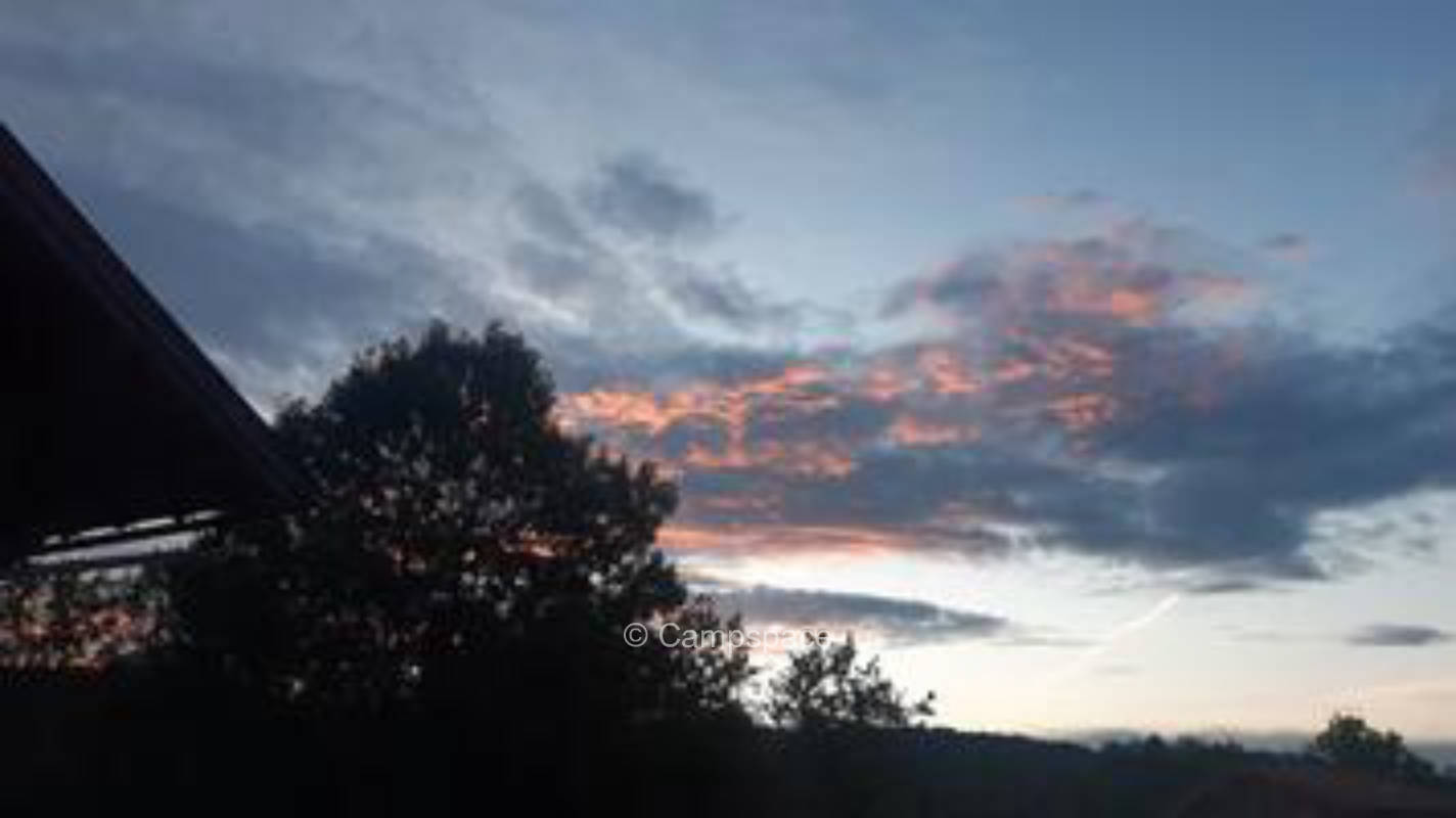 Camping at the horse farm