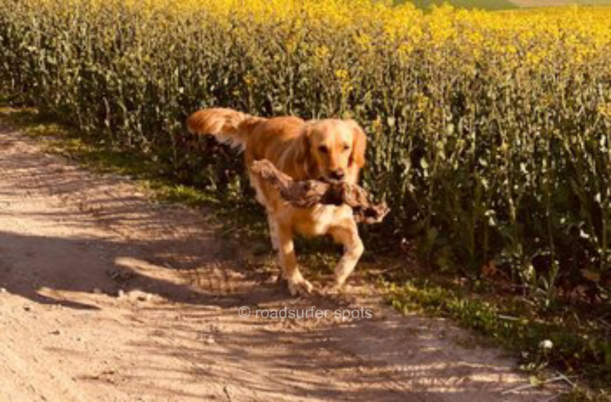 Naturcamping auf dem Weingut