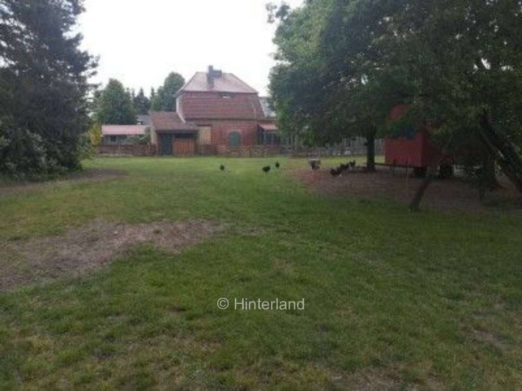 Camping unter Bäumen in der Nähe von den Tieren