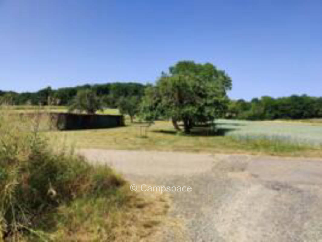 Auf der Obstbaum-Wiese inmitten von Feldern (Campspace 5480)