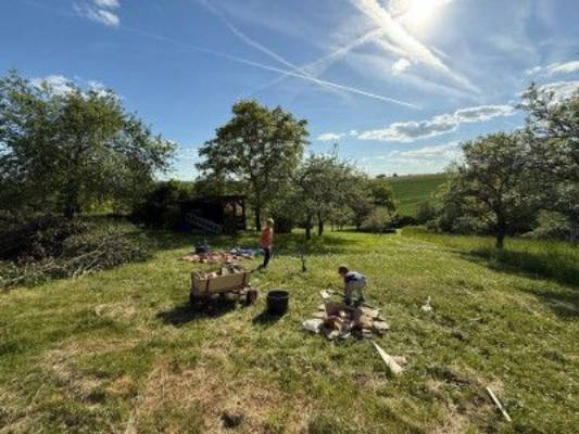 Idyllic spot by an orchard meadow