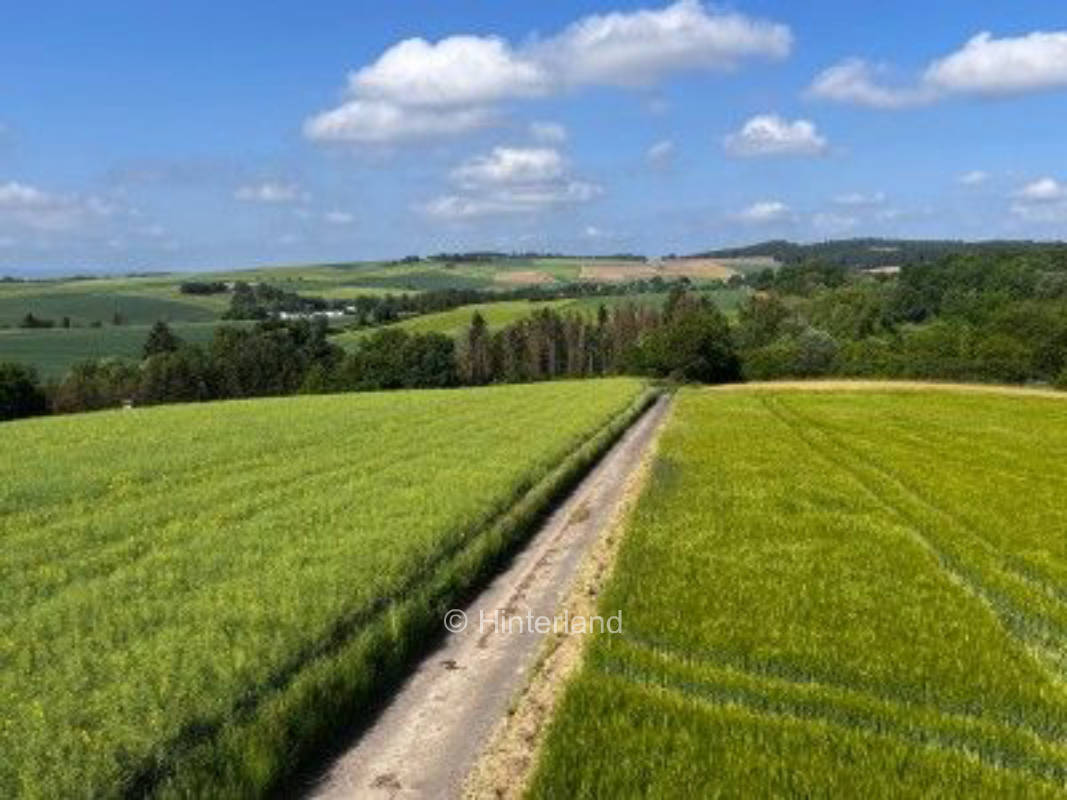 Himmlische Ruhe und Natur pur (auch für Reiter) 