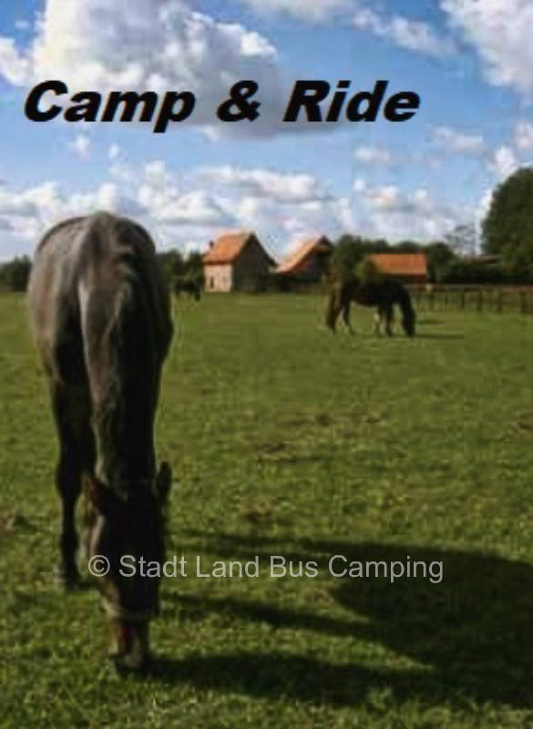 CAMP & RIDE auf Idyllischem Reiterhof 3
