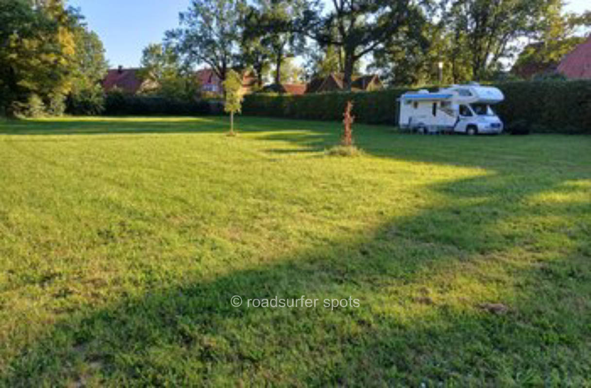 Grüne Wiese im Wald oder idyllische Hofwiese 