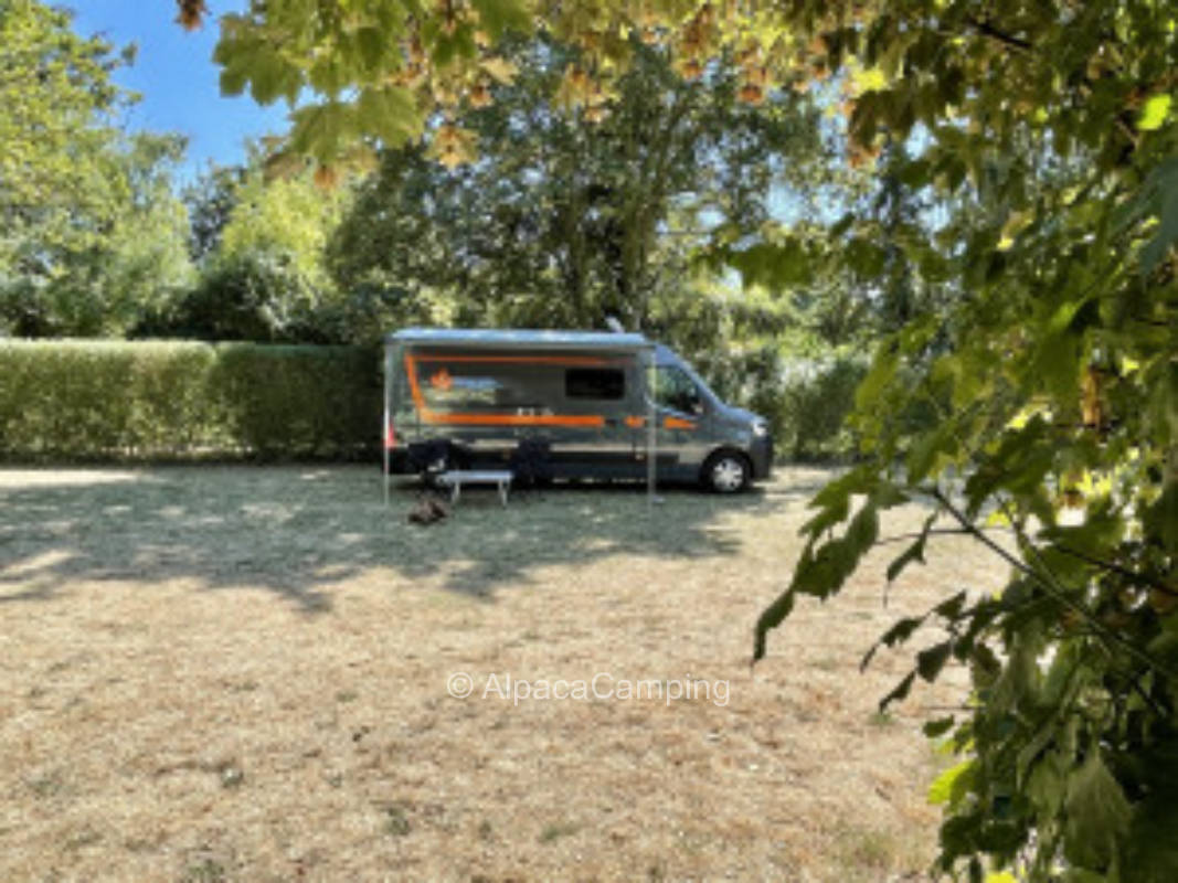 Wunderschöner Stellplatz an den Weinbergen in Bermersheim #1