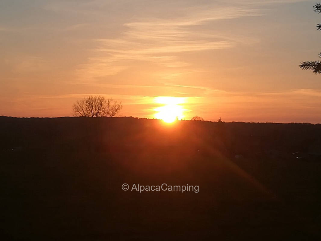 AlpacaCamping 5543