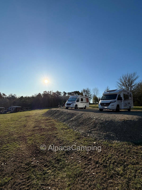 AlpacaCamping 5573