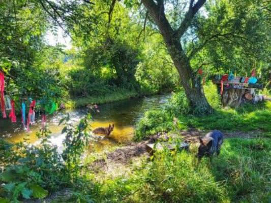 Walhalla Urige Alleinlage mit Wasserfall am Bach