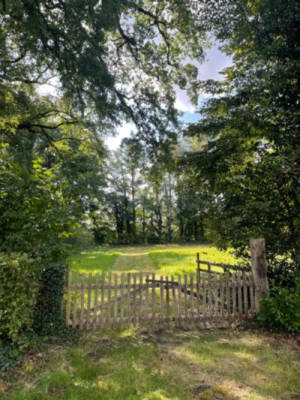 Nature paradise surrounded by ancient oaks