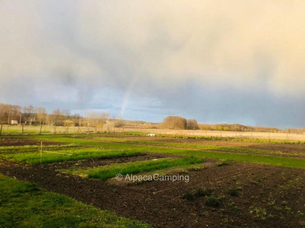 Directly in the garden with beautiful view #1