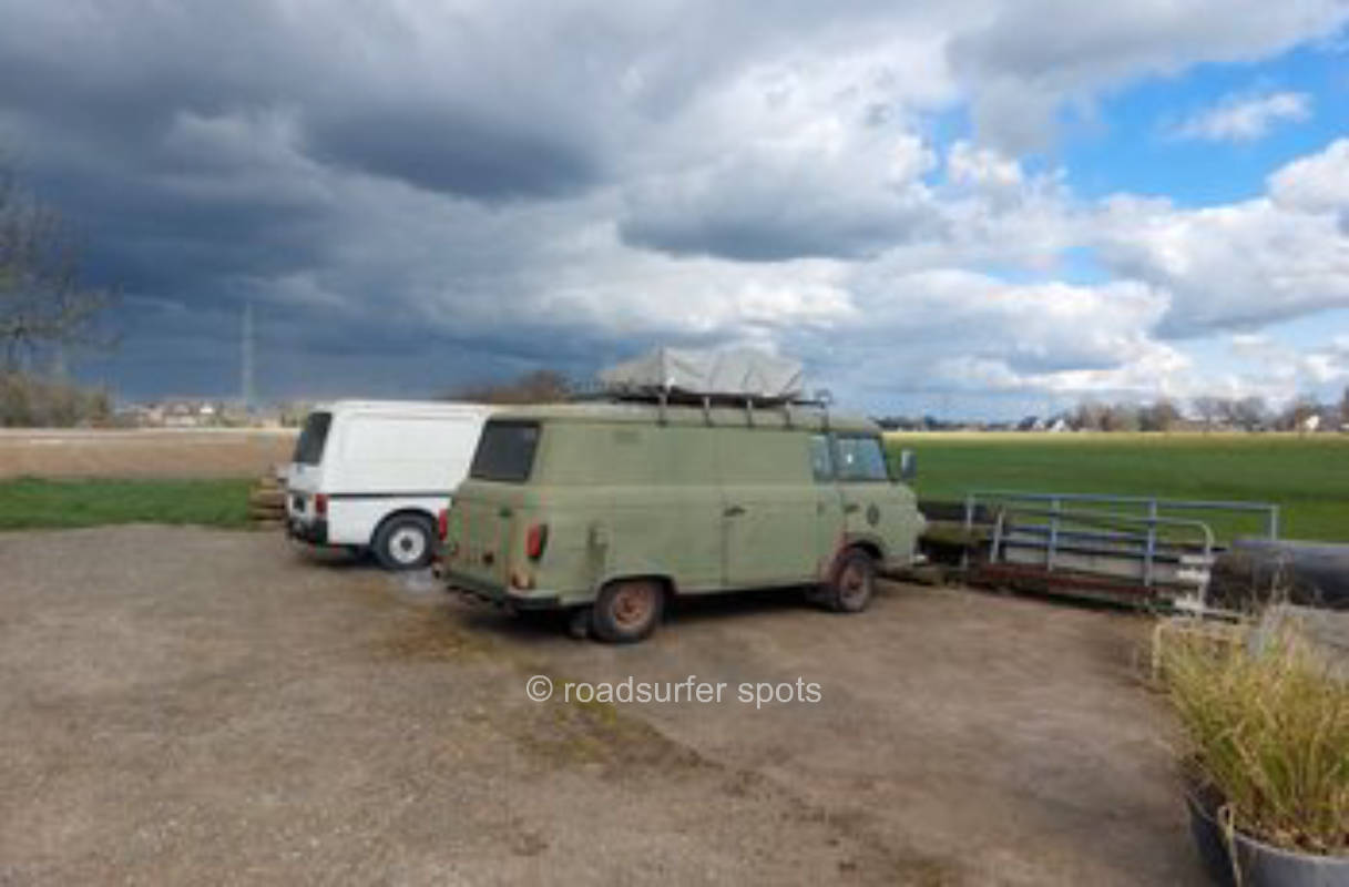 Nature camping on the Rhine dike