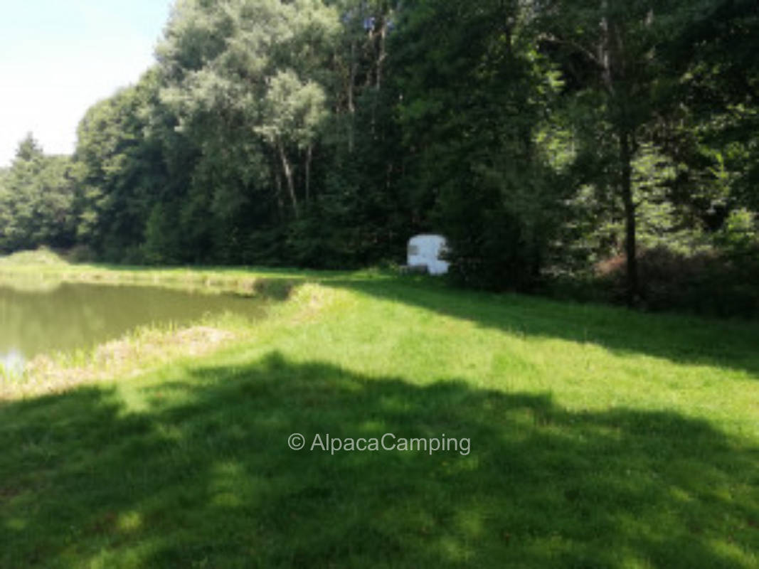 Idyllic pitch on pony farm/fish pond