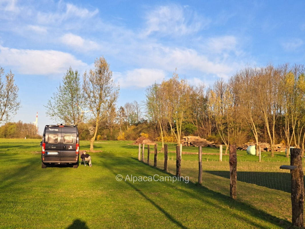 Chilling in the green - on almost 400sqm fenced area
